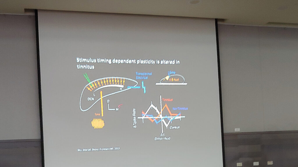 Dr. Susan Shore - University of Michigan