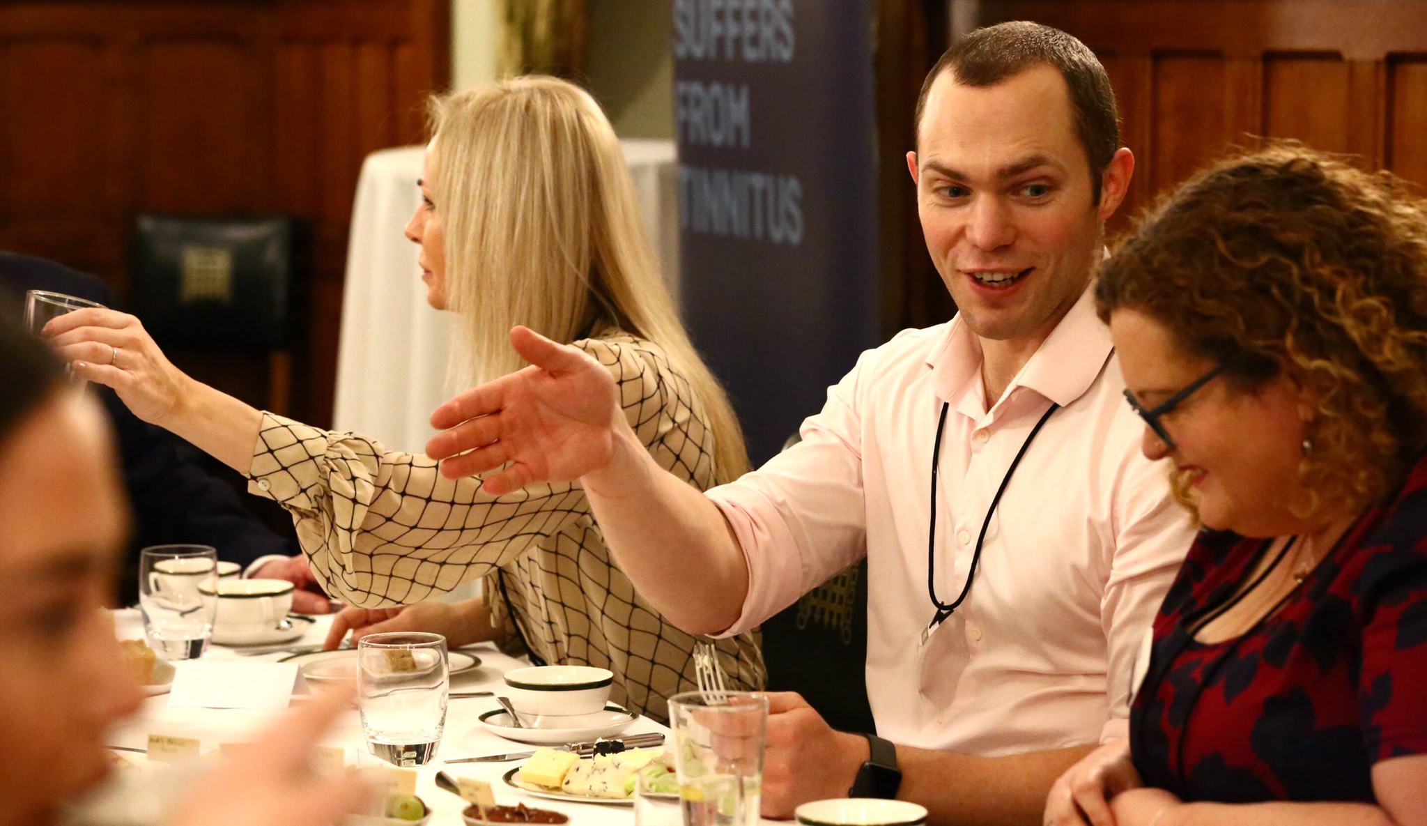 UK House of Commons Roundtable on Tinnitus