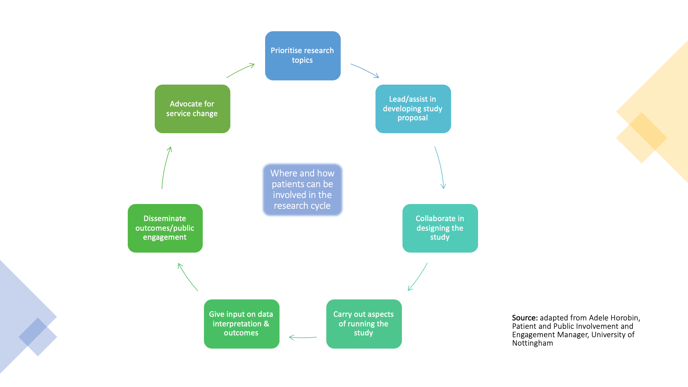 Tinnitus Patients Involved in the Research Cycle