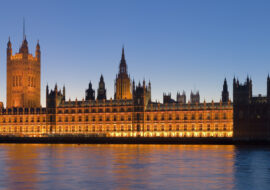 UK House of Commons Tinnitus Roundtable